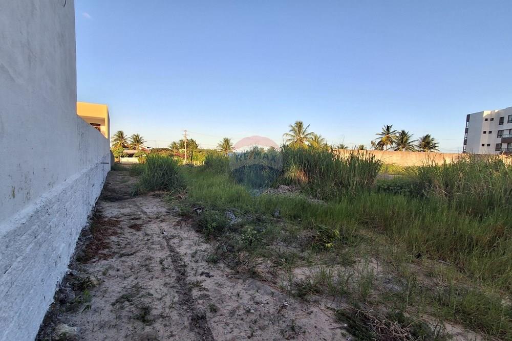 Terreno - Venda - Pitimbu , Paraíba - 20260310_165259.jpg.jpeg - 720871044-121