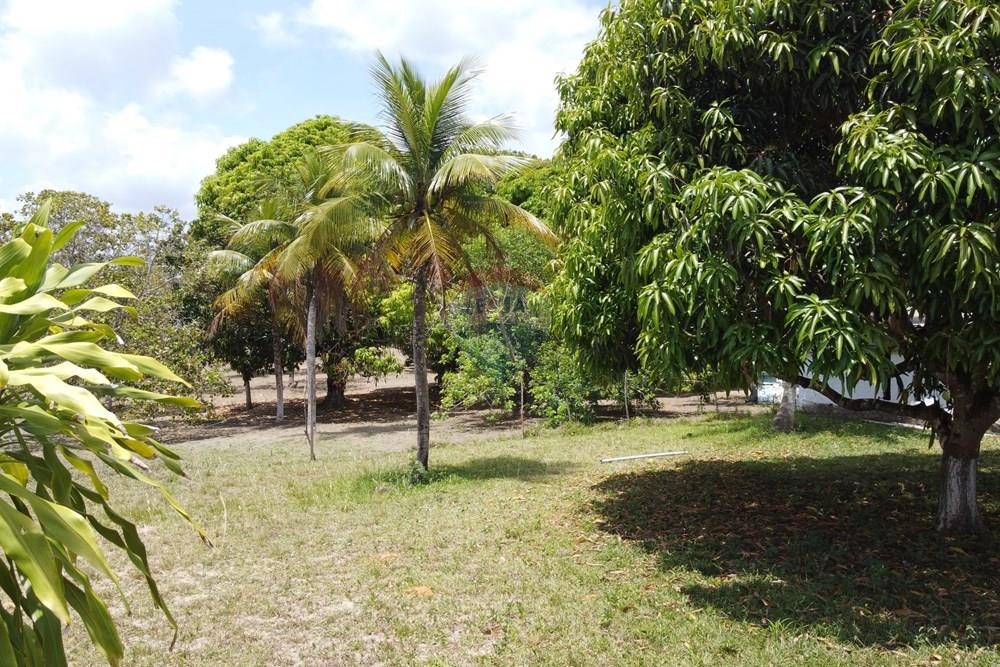 Terreno - Venda - Goiana , Pernambuco - DJI_0334.JPG - 722011055-50