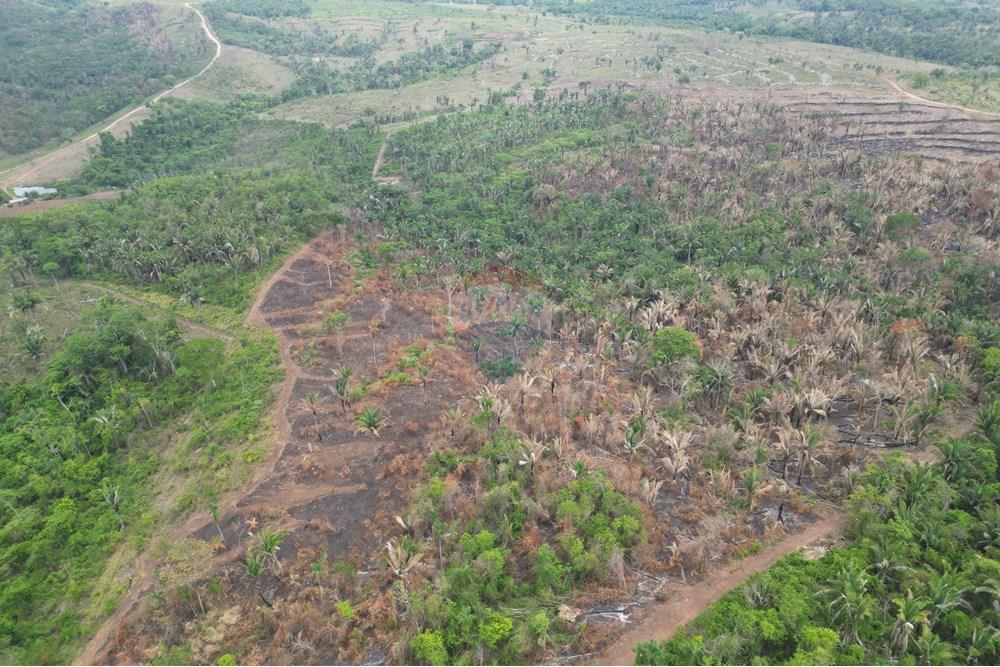 Chácara / Sítio / Fazenda - Venda - Araguaína , Tocantins - DJI_0043.JPG - 720991045-15