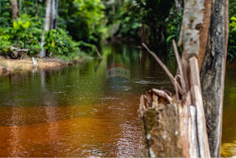 Woningbouw - Boerderij - Novo Airão , Amazonas - BR - IMG_7323.jpg - 720721055-29