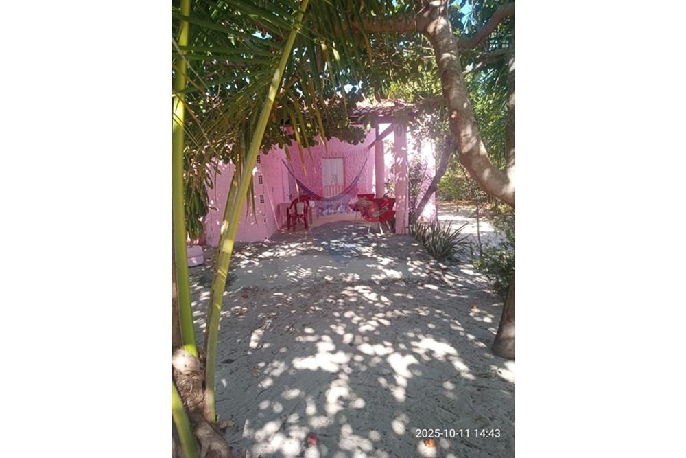 Chácara / Sítio / Fazenda - Venda - Parnaíba , Piauí - WhatsApp Image 2025-10-15 at 09.35.35 (1).jpeg - 722361007-3