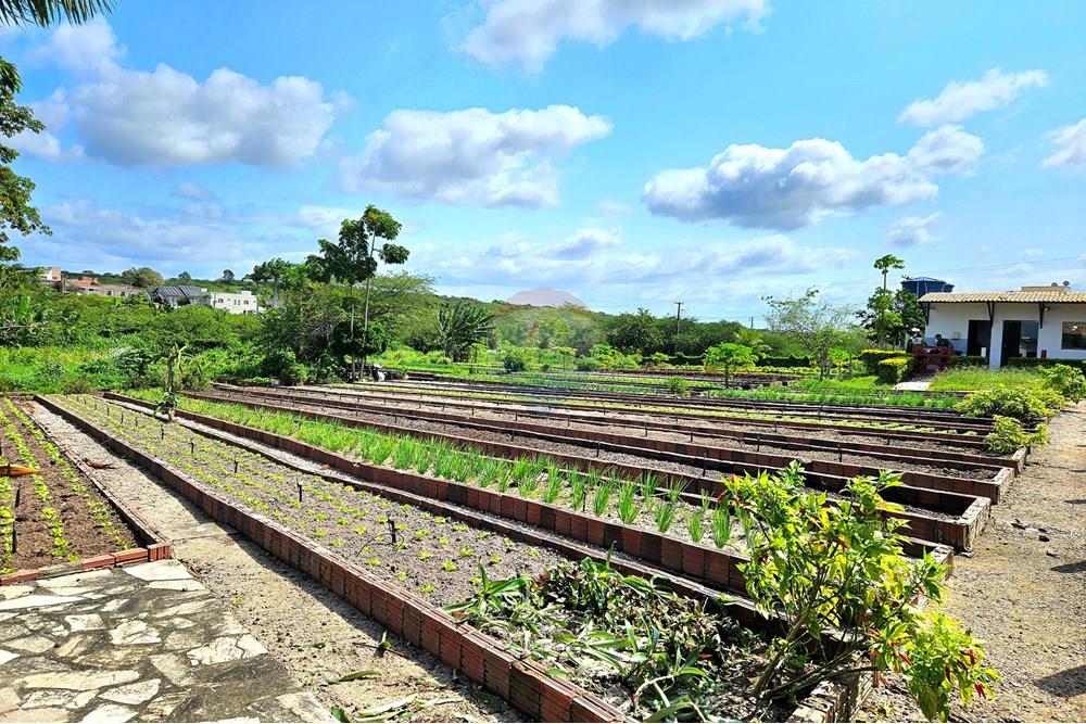 Casa de Condomínio - Venda - Macaíba , Rio Grande do Norte - 20250905_132654.jpg - 720891039-316
