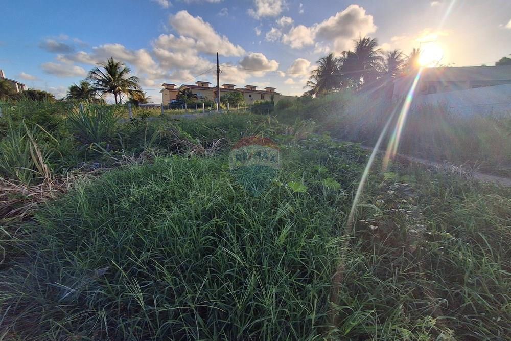 Terreno - Venda - Pitimbu , Paraíba - 20260310_165207.jpg.jpeg - 720871044-121
