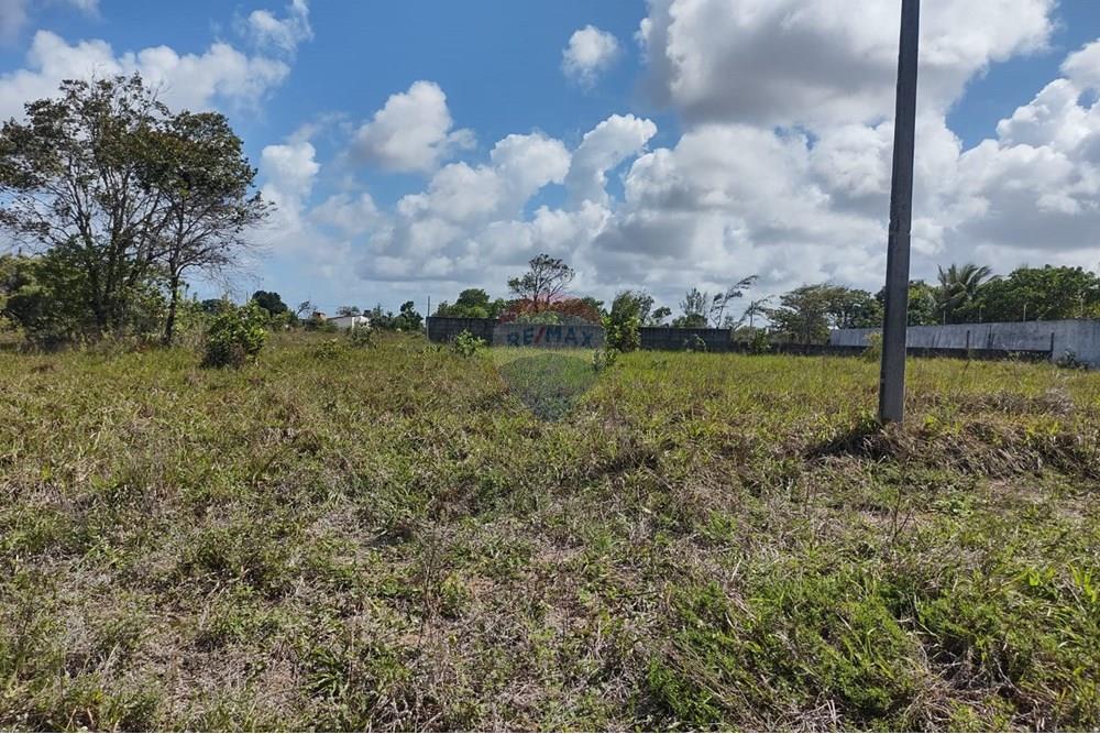 Terreno - Venda - Conde , Paraíba - 65c83f1c-2cd0-4530-816d-7fc9d925a613.jpg - 720871031-69