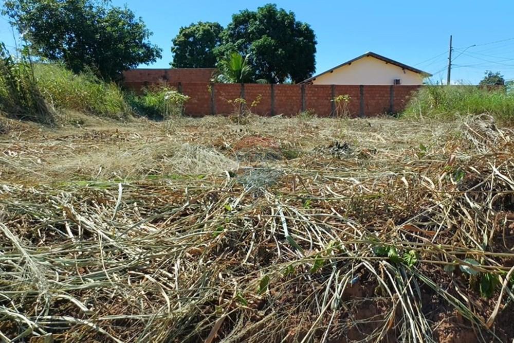 Terreno - Venda - Rondonópolis , Mato Grosso - 6.jpg - 720851102-95