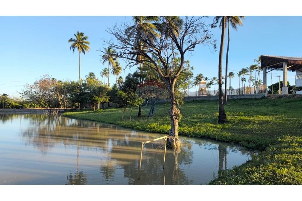 Terreno - Venda - Trairi , Ceará - 1000290564.jpg - 722341005-30