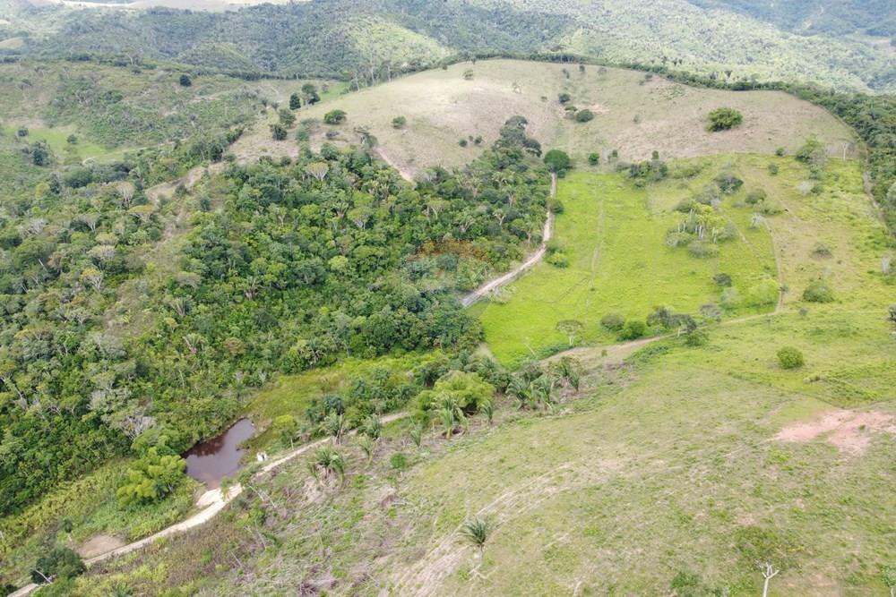 Chácara / Sítio / Fazenda - Venda - Areia , Paraíba - DJI_0431.JPG - 722011055-52