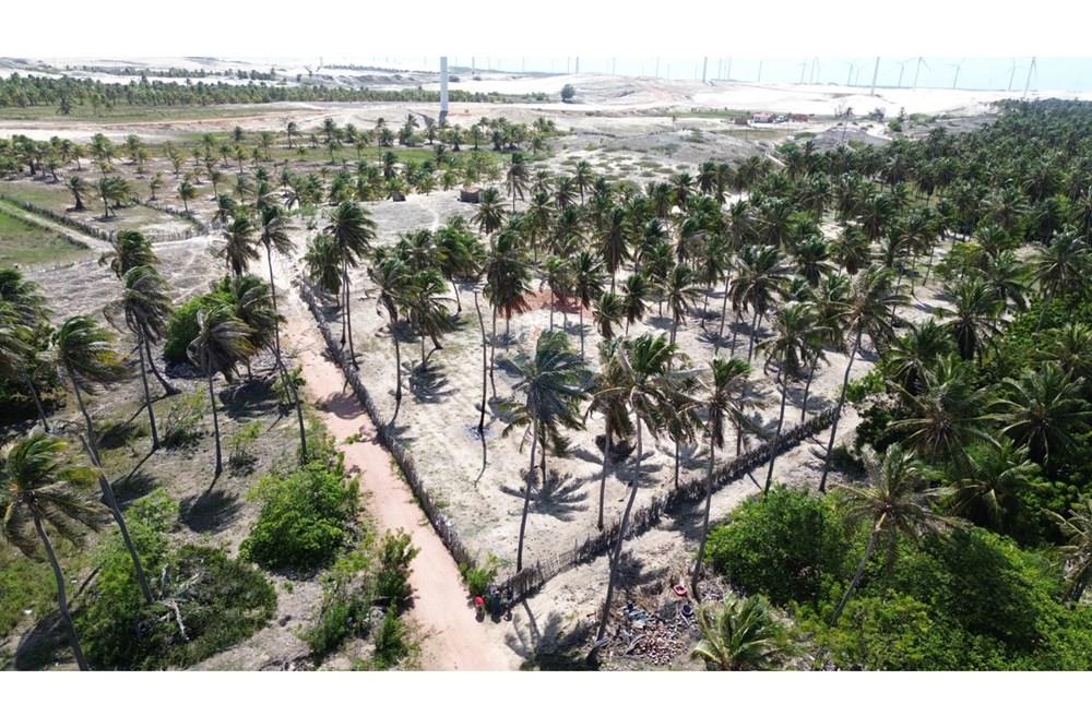 Terreno - Venda - Trairi , Ceará - WhatsApp Image 2026-02-13 at 16.45.36.jpeg - 722341005-47