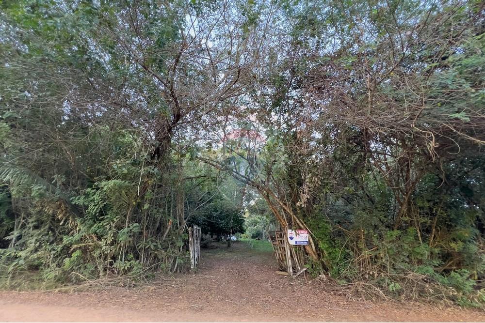 Chácara / Sítio / Fazenda - Venda - Porto Velho , Rondônia - IMG_9921.jpg - 721551046-37