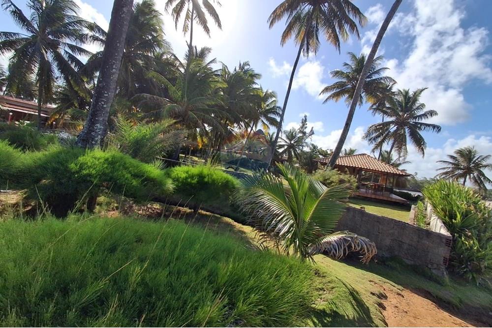 Terreno - Venda - Pitimbu , Paraíba - e45aec57-09ed-4f22-9093-7d25e2406ea8.jpg - 720871044-61