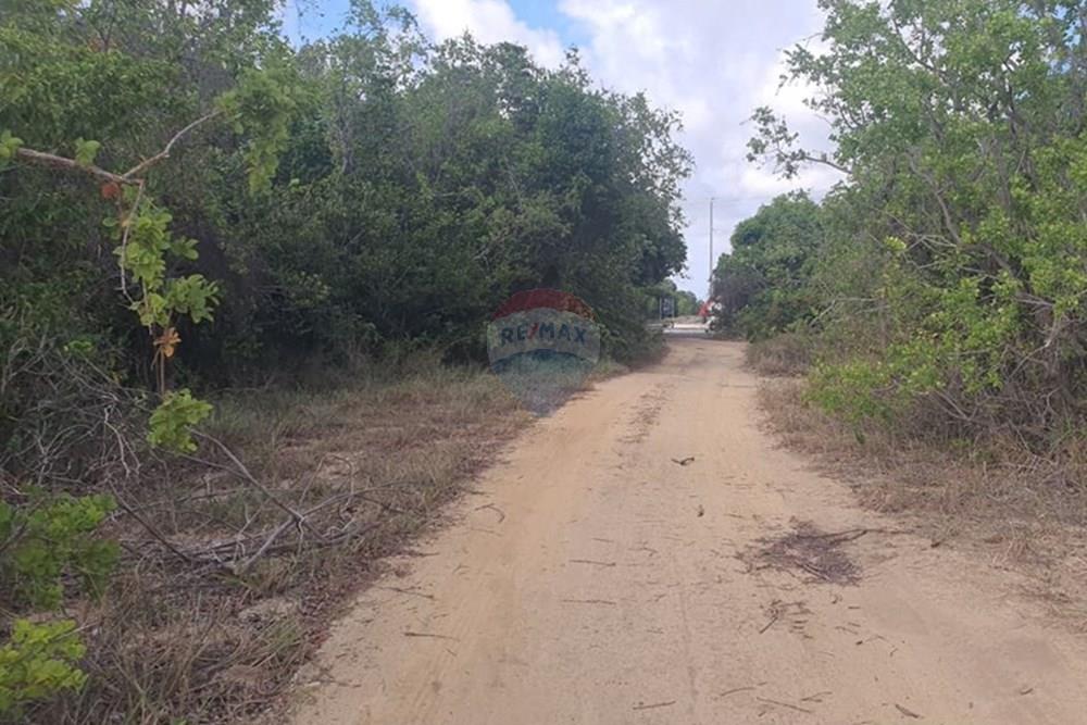 Terreno - Venda - Conde , Paraíba - da38447b-89af-48a0-be09-9f2935ba1753.jpeg - 720471019-138