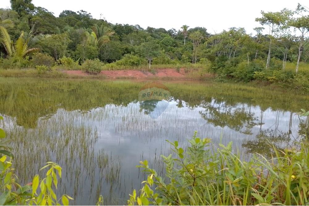 Chácara / Sítio / Fazenda - Venda - Canutama , Amazonas - WhatsApp Image 2025-02-28 at 17.26.40.jpeg - 721551016-61