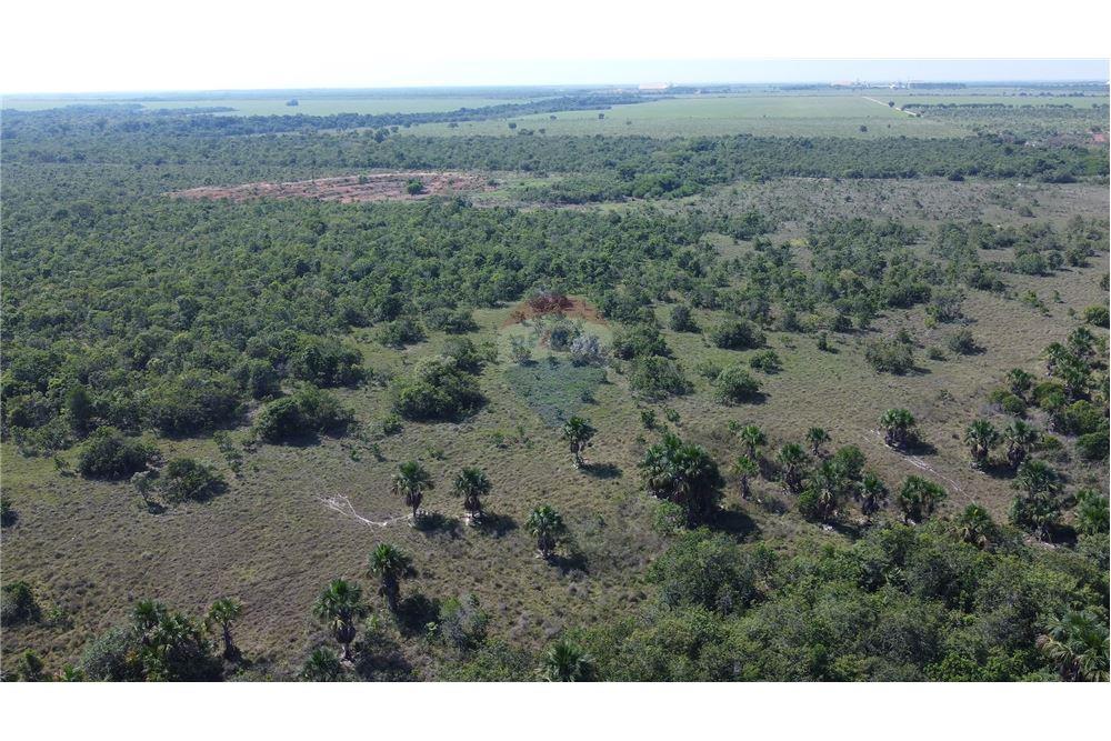 Chácara / Sítio / Fazenda - Venda - Porto Alegre do Norte , Mato Grosso - 11 - 720641031-14