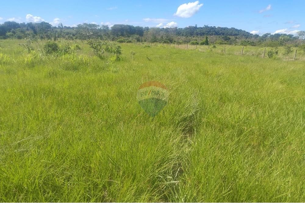 Chácara / Sítio / Fazenda - Venda - Confresa , Mato Grosso - IMG-20250926-WA0039.jpg - 720641046-11