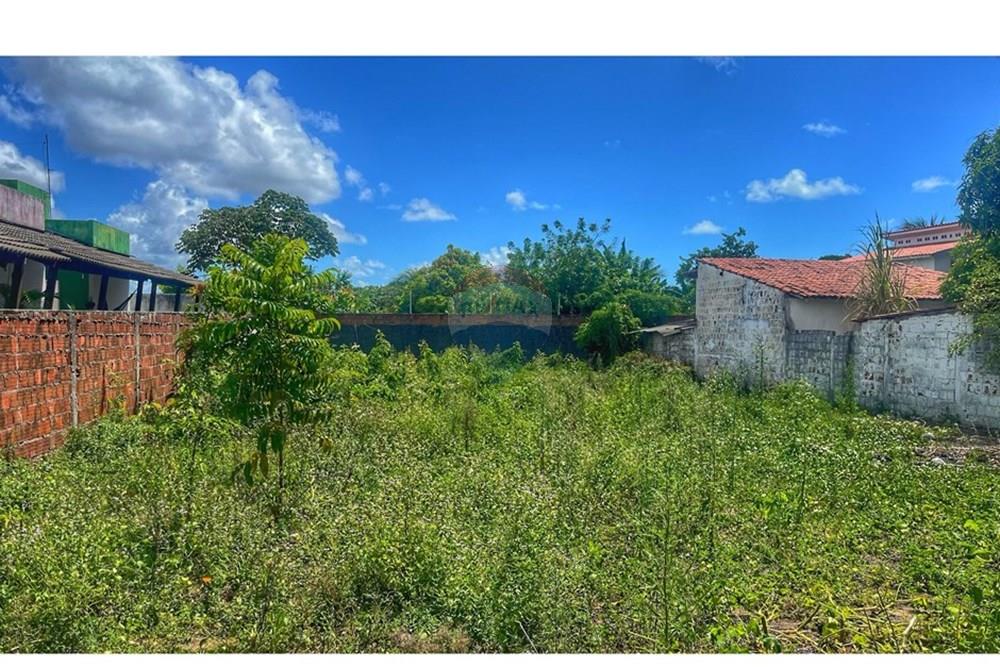 Terreno - Venda - Conde , Paraíba - WhatsApp Image 2025-04-23 at 09.53.56.jpeg - 720871004-192