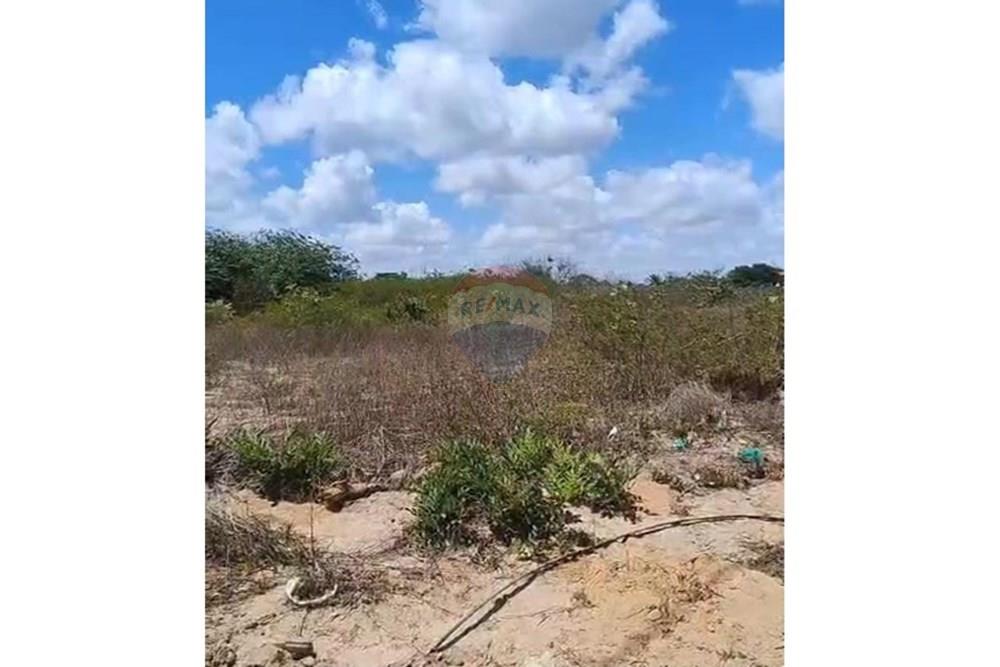 Terreno - Venda - São José de Mipibu , Rio Grande do Norte - TERRENO 2.jpeg - 720891130-239