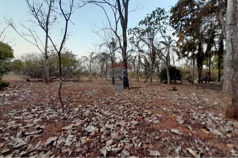 Chácara / Sítio / Fazenda - Venda - Goiânia , Goiás - WhatsApp Image 2025-10-31 at 16.47.38 (1).jpeg - 722271015-38