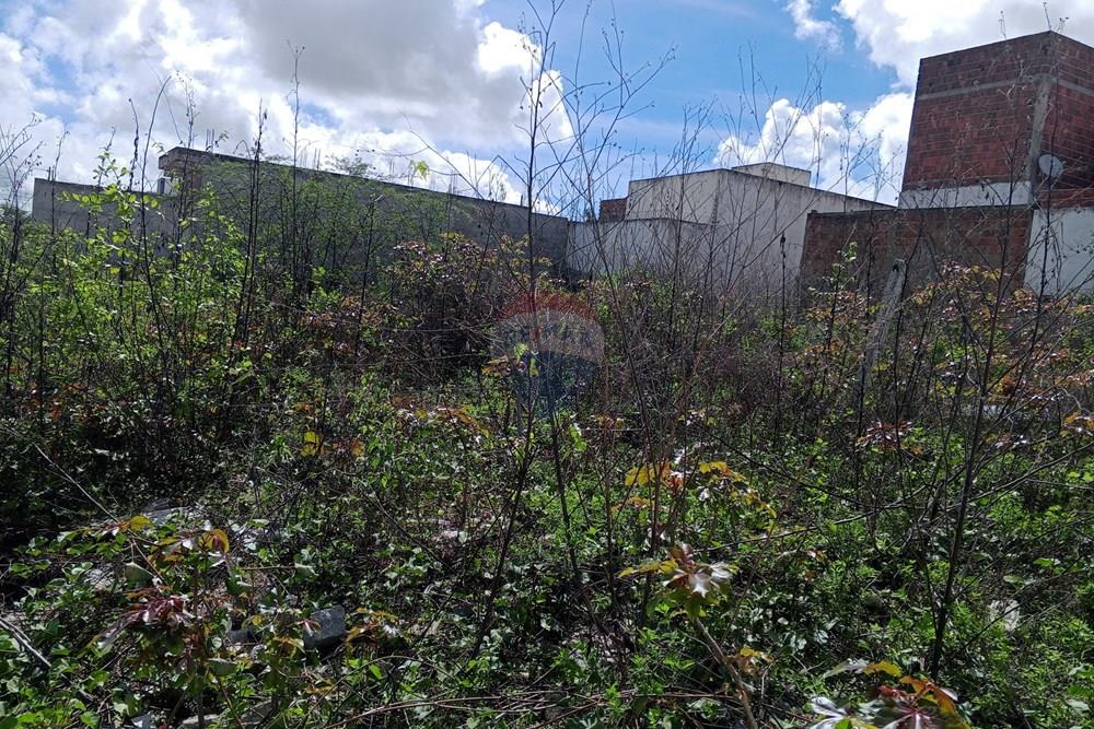 Terreno - Venda - Queimadas , Paraíba - IMG_20260216_085001_788.jpg.jpeg - 720291095-18