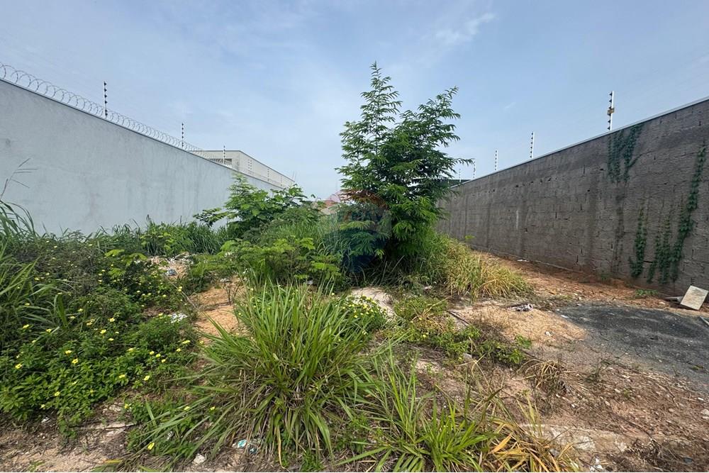 Terreno - Venda - Araguaína , Tocantins - WhatsApp Image 2025-12-17 at 14.05.57.jpeg - 722171042-3