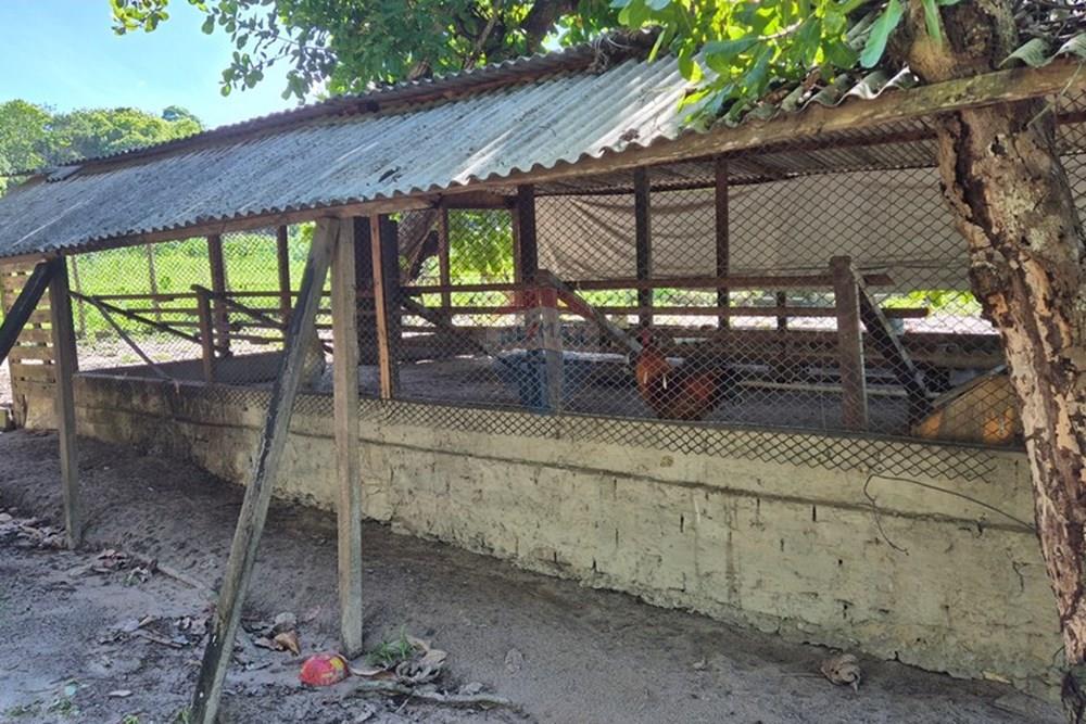 Chácara / Sítio / Fazenda - Venda - Mamanguape , Paraíba - 20250207_145002 1.jpg - 722011055-45