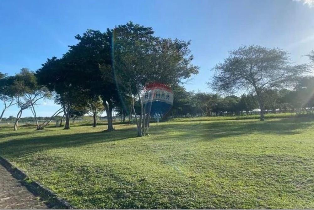 Terreno - Venda - São José de Mipibu , Rio Grande do Norte - WhatsApp Image 2025-05-20 at 16.13.11 (4).jpeg - 720891037-51