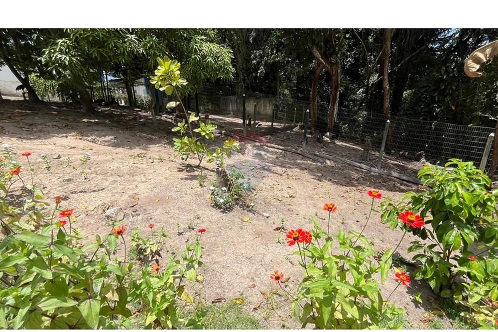 Terreno - Venda - Conde , Paraíba - WhatsApp Image 2025-09-24 at 13.36.55.jpeg - 720871004-211