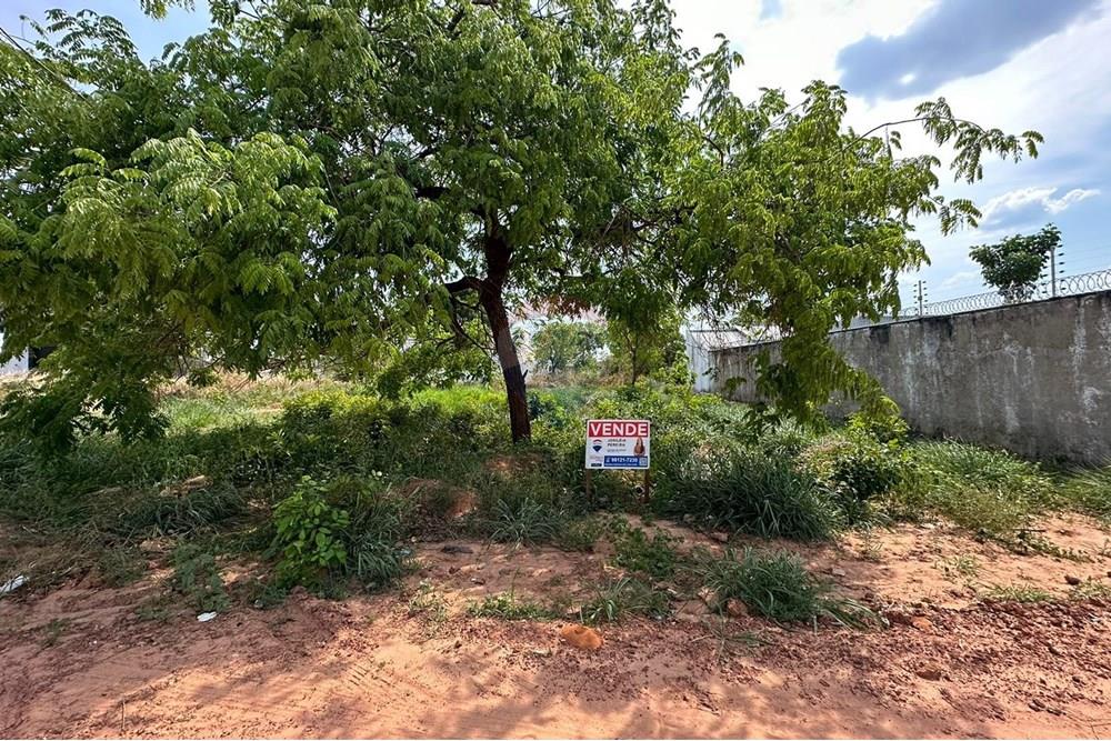 Terreno - Venda - Araguaína , Tocantins - WhatsApp Image 2025-10-29 at 16.47.28.jpeg - 720991005-88
