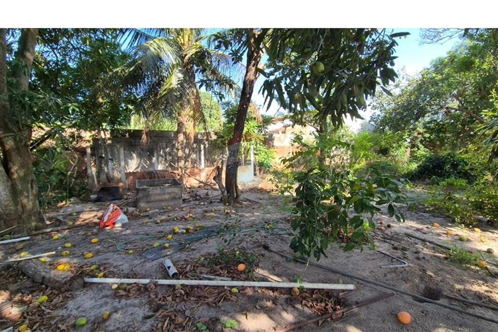 Terreno - Venda - Parnamirim , Rio Grande do Norte - WhatsApp Image 2026-03-02 at 10.05.09 (1).jpeg - 720811040-40