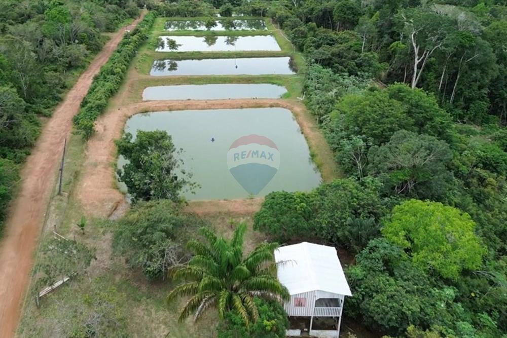 Woningbouw - Boerderij - Novo Airão , Amazonas - BR - Tanques de Peixes8.jpg - 720721055-29