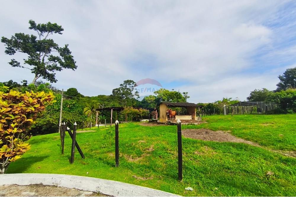 Terreno - Venda - Conde , Paraíba - fbac665c-e792-4a4e-9e5d-b9167c234265.jpg - 720871056-15