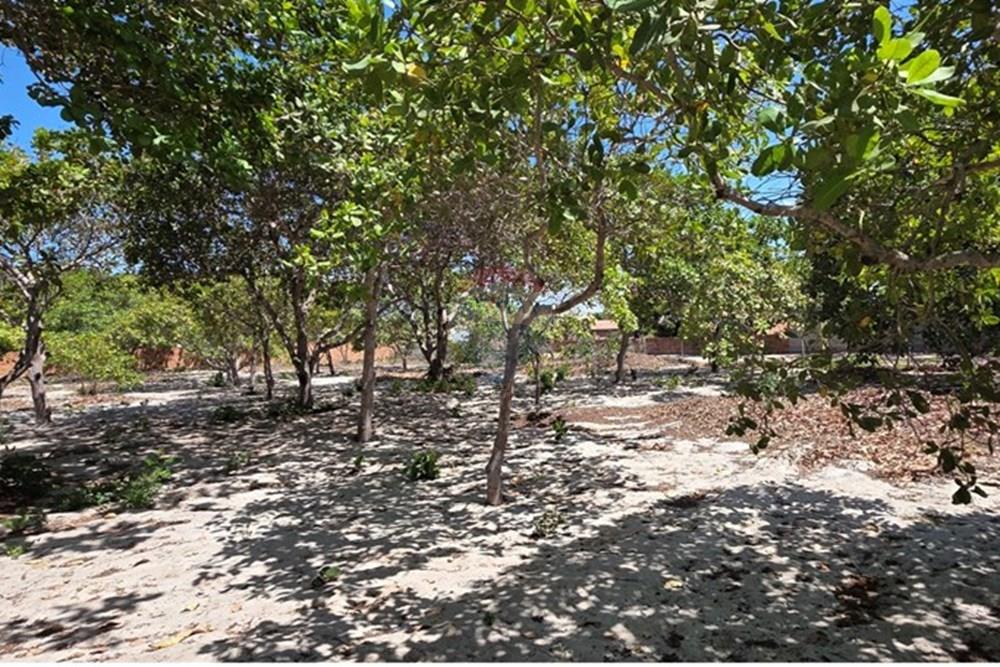 Terreno - Venda - Cruz , Ceará - 1000234207.jpg - 722341001-112