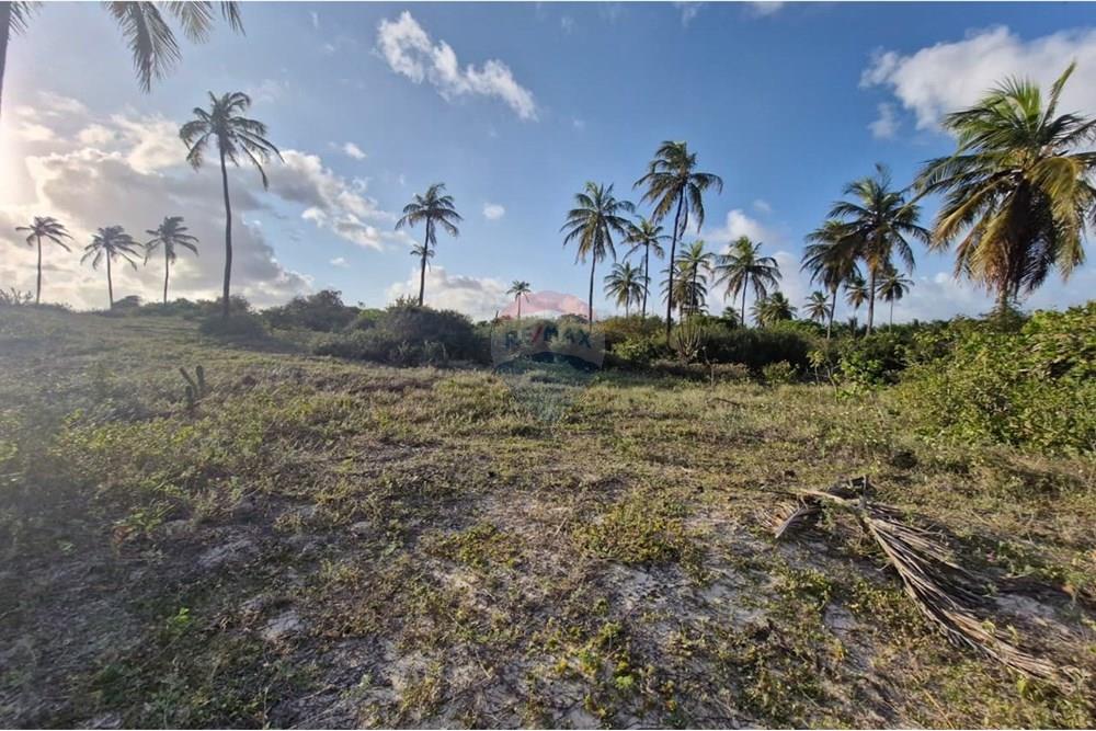 Terreno - Venda - Rio do Fogo , Rio Grande do Norte - WhatsApp Image 2025-09-23 at 22.49.50 (2).jpeg - 720811001-66