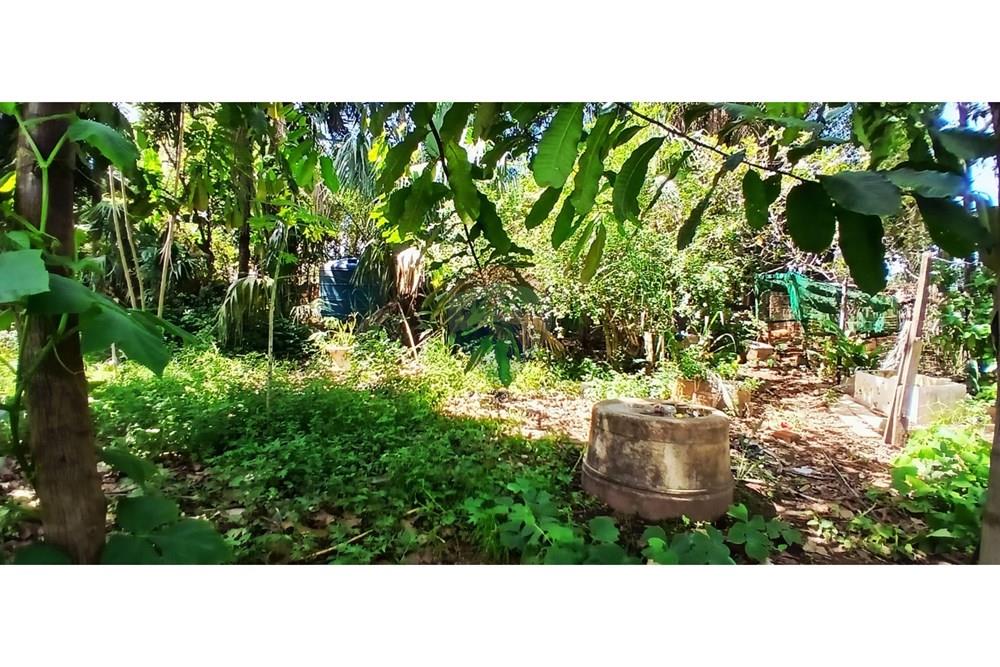 Chácara / Sítio / Fazenda - Venda - Rondonópolis , Mato Grosso - WhatsApp Image 2026-01-13 at 16.45.20.jpeg - 720851145-19