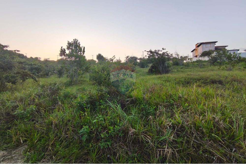 Gyvenamasis - Žemės sklypas - Pitimbu , Paraíba - BR - 2f45722f-c1e4-4a3d-ad75-5f56c3b0b93f.jpg - 720871056-22