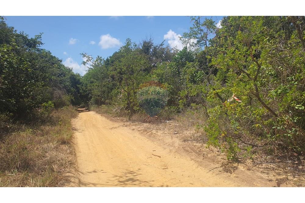 Terreno - Venda - Conde , Paraíba - 20251227_095526.jpg - 720471019-138