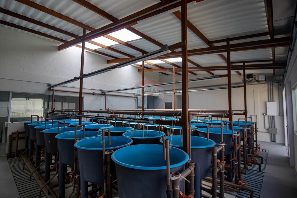 Casa Comercial - Venda - Nísia Floresta , Rio Grande do Norte - IMG_4387.jpg - 720891106-69