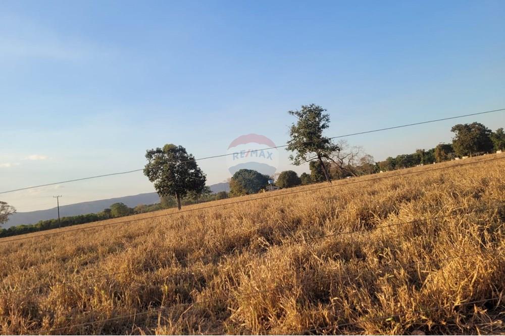 Chácara / Sítio / Fazenda - Venda - Barra do Garças , Mato Grosso - WhatsApp Image 2025-11-05 at 15.28.06 (2).jpeg - 722221002-336