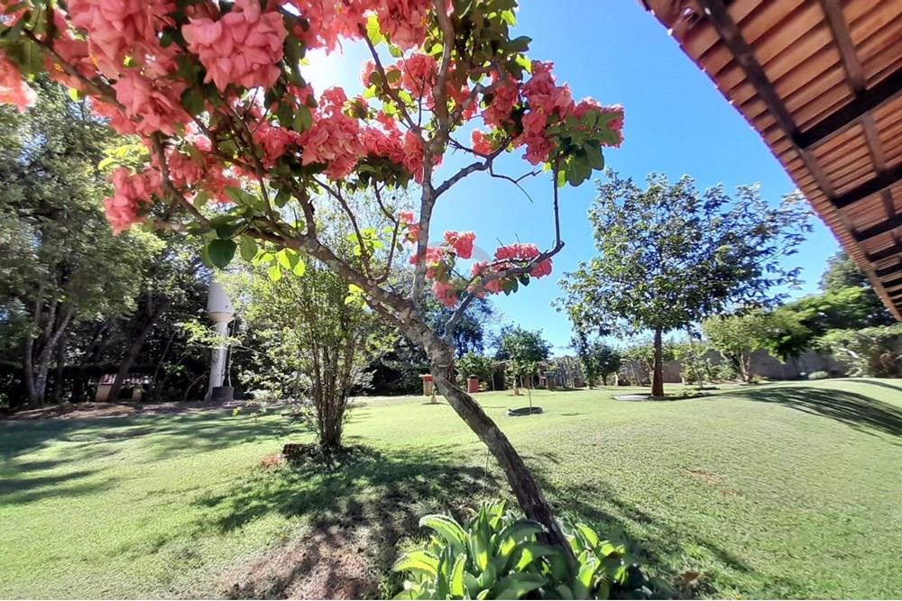 Chácara / Sítio / Fazenda - Venda - Nova Veneza , Goiás - WhatsApp Image 2025-11-18 at 15.51.58.jpeg - 722271015-32