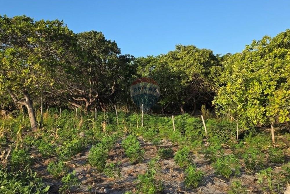 Terreno - Venda - Cruz , Ceará - 1000385881.jpg - 722341001-122