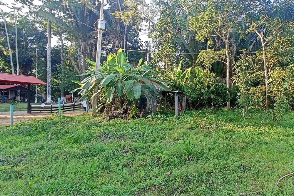 Chácara / Sítio / Fazenda - Venda - Jaru , Rondônia - 9.jpeg - 721551072-20