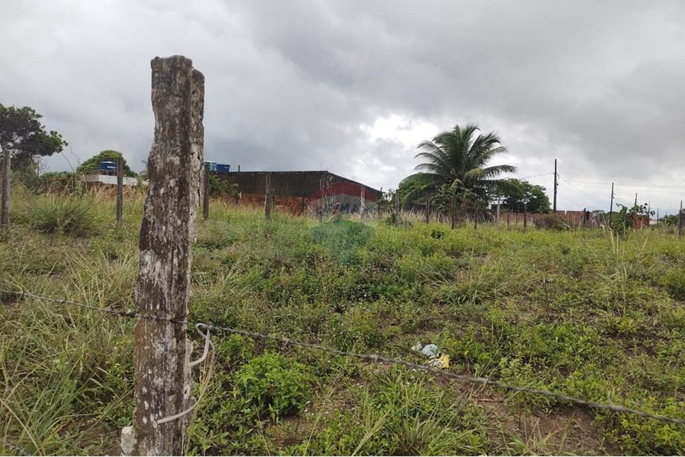 Terreno - Venda - Conde , Paraíba - 56e525b3-9800-4135-99e2-9e3d60c81f1e.jpeg - 720871031-78