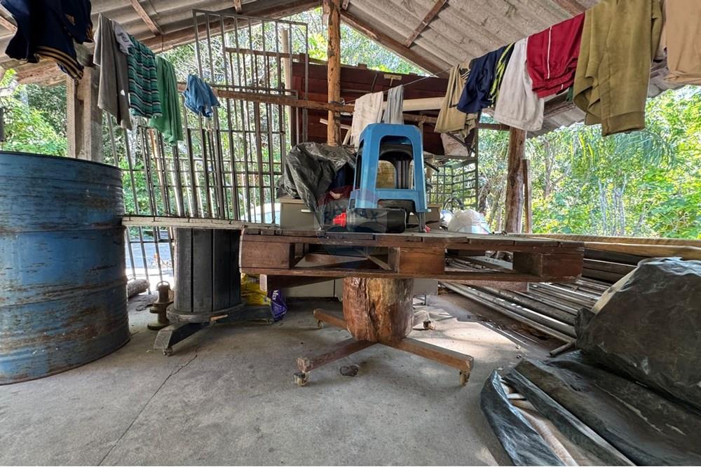 Chácara / Sítio / Fazenda - Venda - Babaçulândia , Tocantins - PHOTO-2025-09-02-09-36-01 (2).jpg - 720991008-76