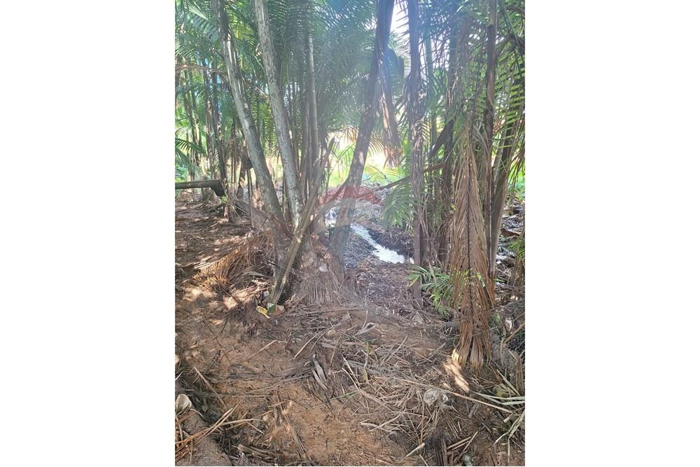 Terreno - Venda - Marabá , Pará - IMG-20250521-WA0046.jpg - 722131001-77