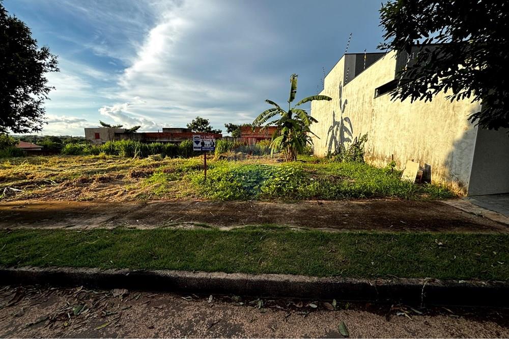 Terreno - Venda - Cacoal , Rondônia - IMG_4482.jpg - 721971001-41