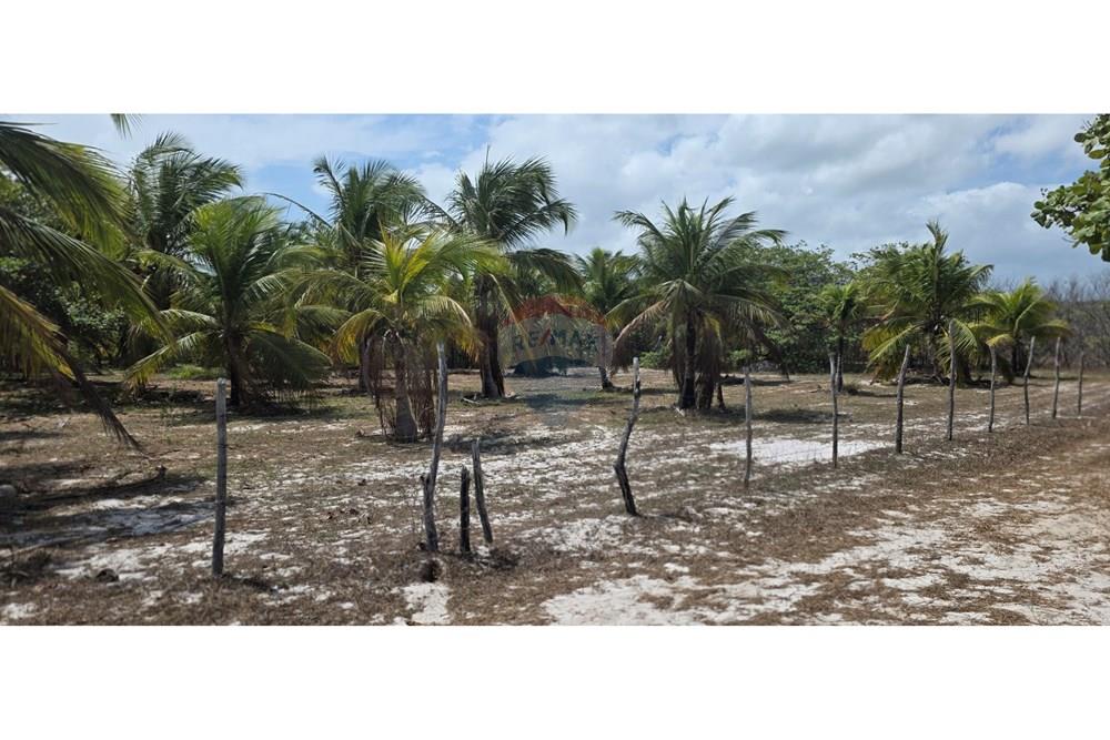 Terreno - Venda - Acaraú , Ceará - 1000304704.jpg - 722341001-114