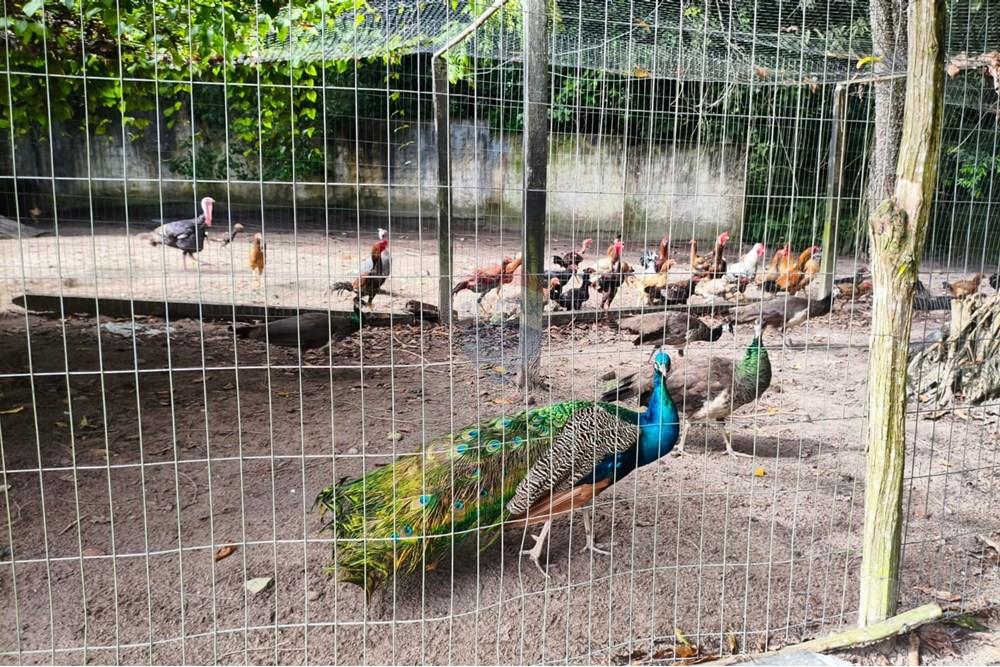 Terreno - Venda - Conde , Paraíba - WhatsApp Image 2025-10-30 at 15.08.22 (1).jpeg - 720871047-17