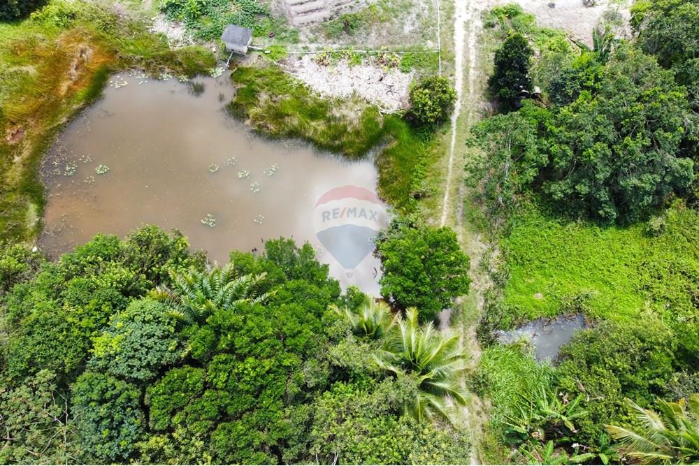 Chácara / Sítio / Fazenda - Venda - Conde , Paraíba - dji_fly_20240921_110226_245_1727098130598_photo_optimized.jpg - 722011055-34