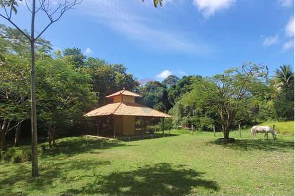 Chácara / Sítio / Fazenda - Venda - Conde , Paraíba - L_aa7f0668-3aa8-49bd-933e-b8bd7f7be96b.jpg - 722011055-33