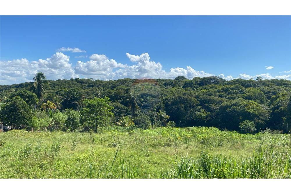 Residential - Ladang - Nísia Floresta , Rio Grande do Norte - BR - 7 - 720891068-68