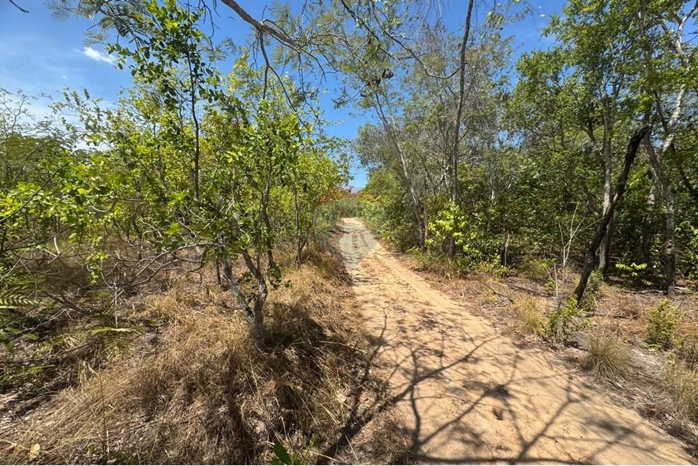 Agro - Venda - Carolina , Maranhão - WhatsApp Image 2025-08-07 at 09.45.31.jpeg - 720991010-76